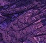 Transparent Lace Tube Stockings (6 Colors) - Stargate Lingerie