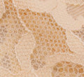 Transparent Lace Tube Stockings (6 Colors) - Stargate Lingerie